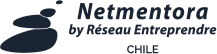 Netmentora, mentor network